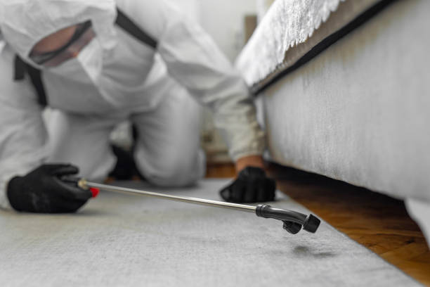Professional Pest Control technician working in Mason County County, KY